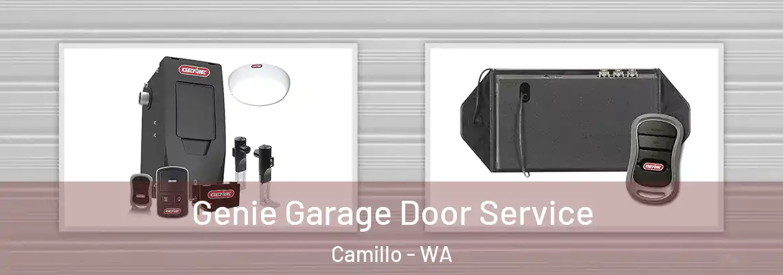 Genie Garage Door Service Camillo - WA