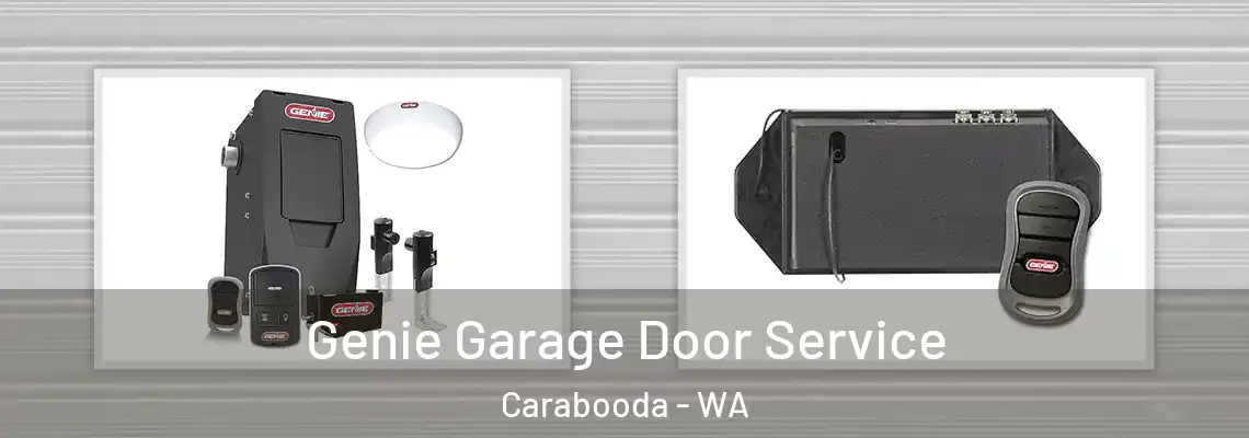 Genie Garage Door Service Carabooda - WA