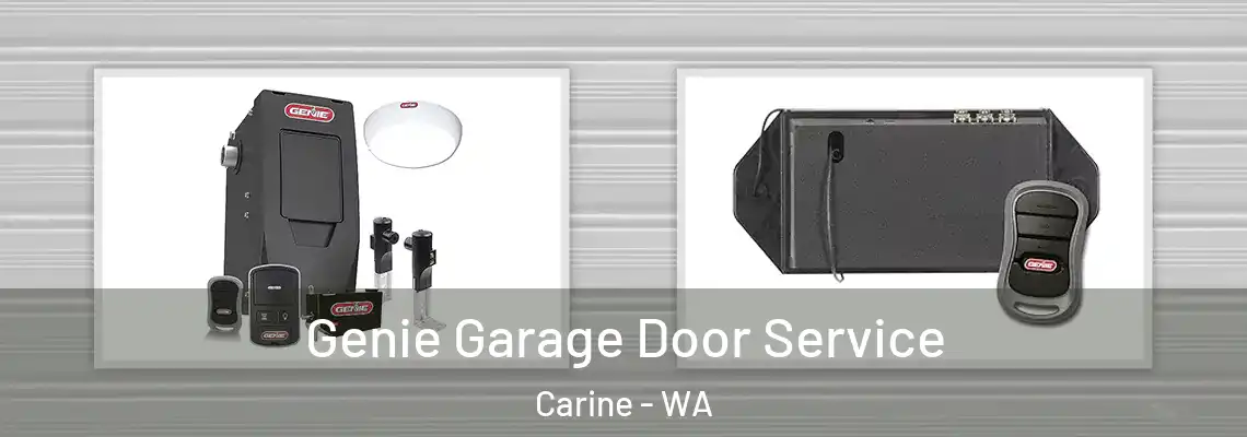 Genie Garage Door Service Carine - WA