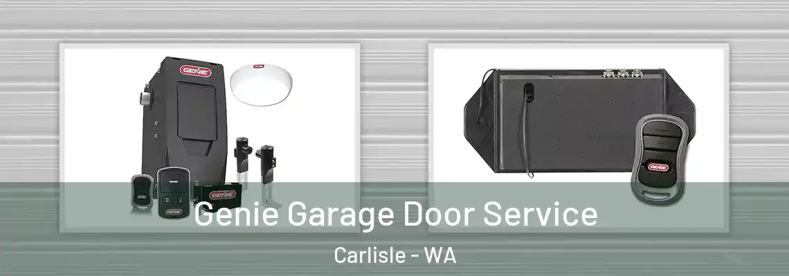 Genie Garage Door Service Carlisle - WA