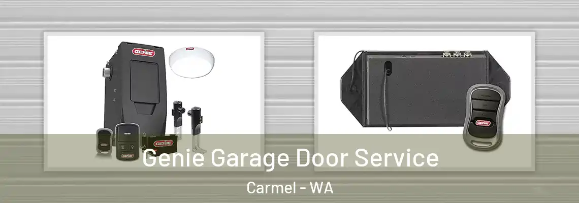 Genie Garage Door Service Carmel - WA