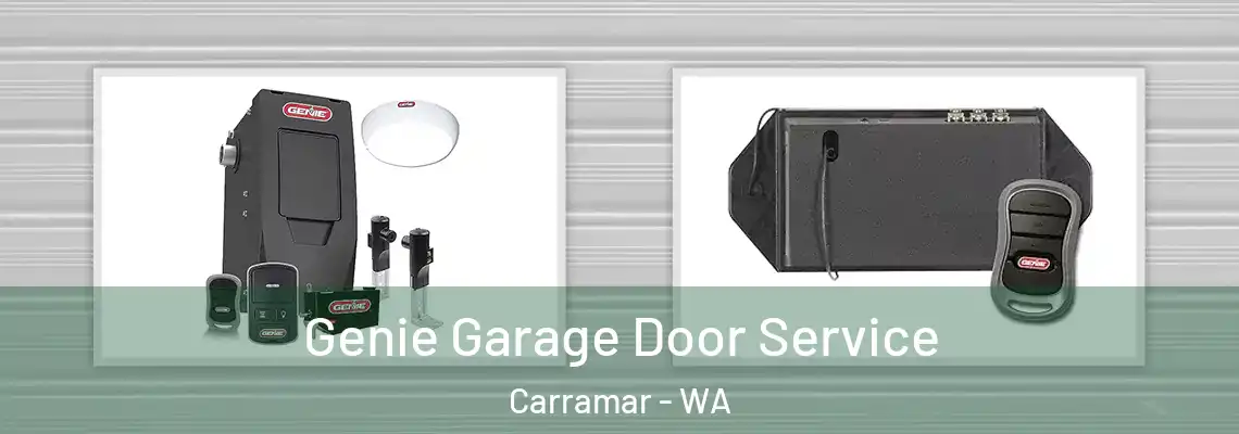 Genie Garage Door Service Carramar - WA