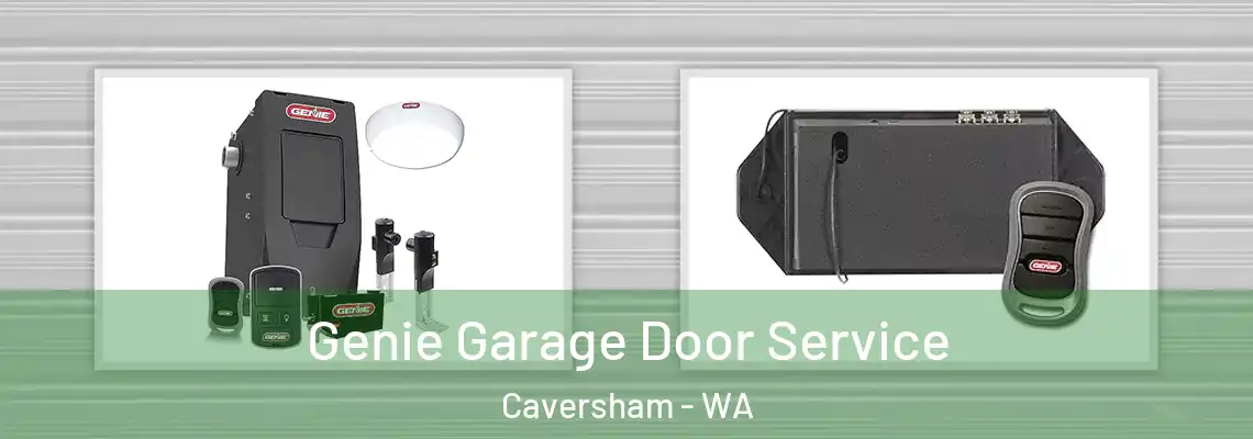 Genie Garage Door Service Caversham - WA