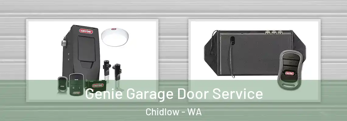 Genie Garage Door Service Chidlow - WA