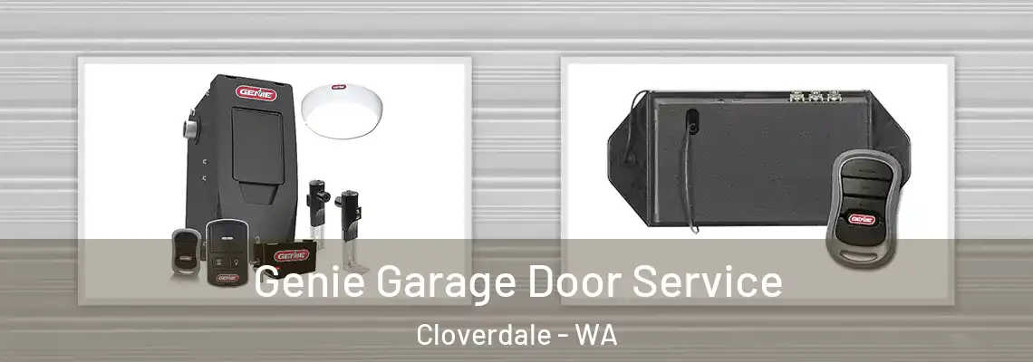 Genie Garage Door Service Cloverdale - WA