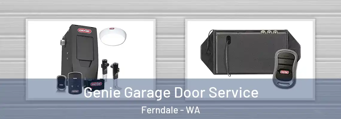  Genie Garage Door Service Ferndale - WA