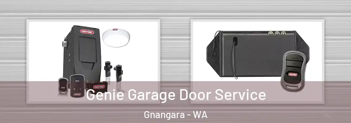 Genie Garage Door Service Gnangara - WA