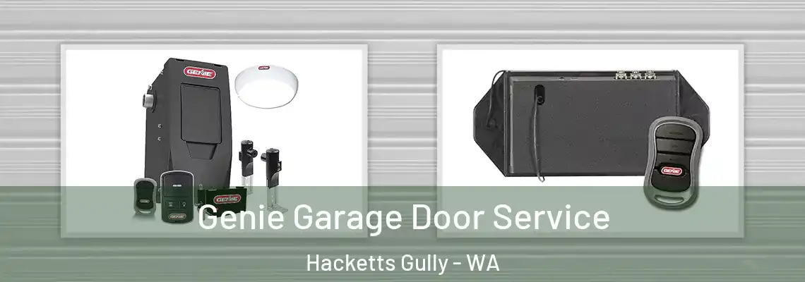 Genie Garage Door Service Hacketts Gully - WA