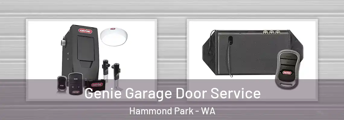  Genie Garage Door Service Hammond Park - WA