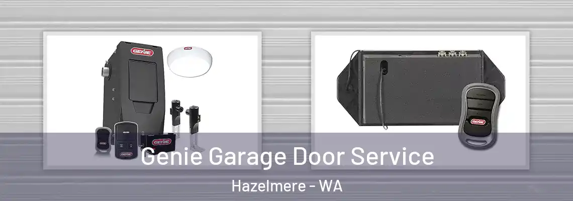 Genie Garage Door Service Hazelmere - WA