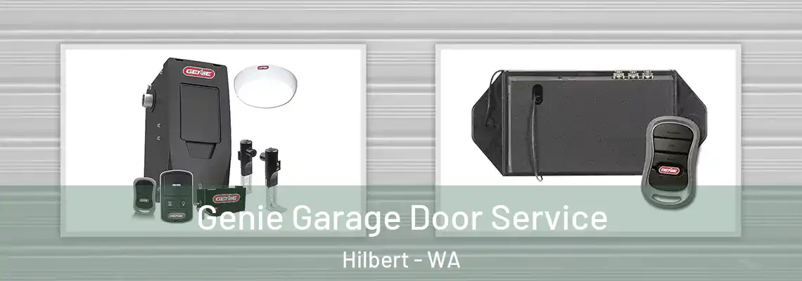 Genie Garage Door Service Hilbert - WA