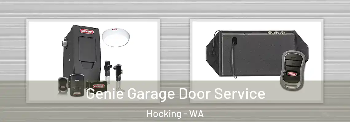 Genie Garage Door Service Hocking - WA