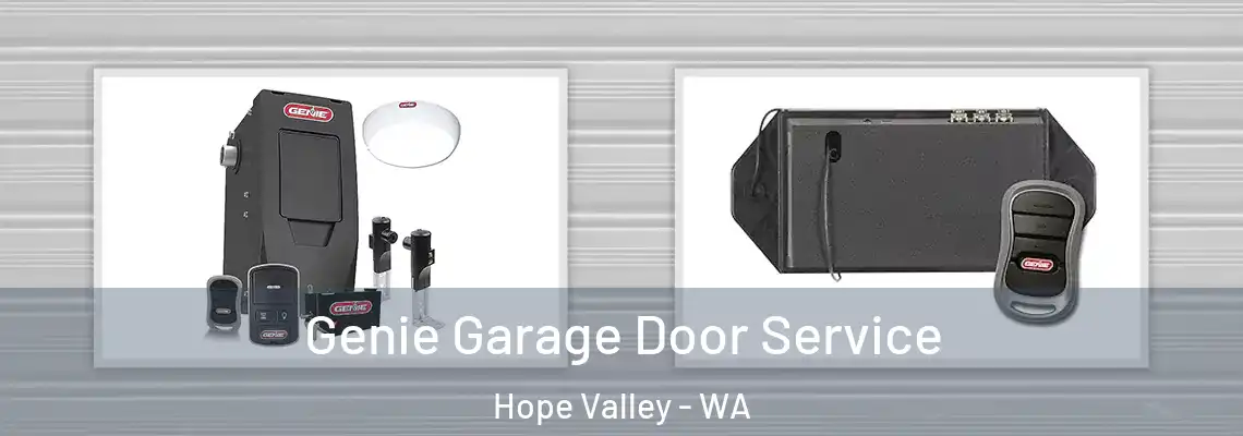 Genie Garage Door Service Hope Valley - WA