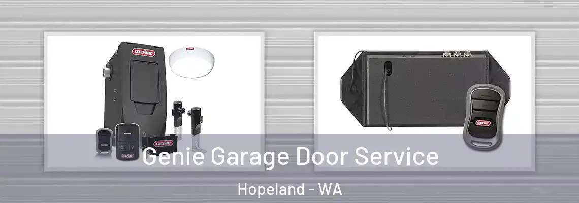Genie Garage Door Service Hopeland - WA