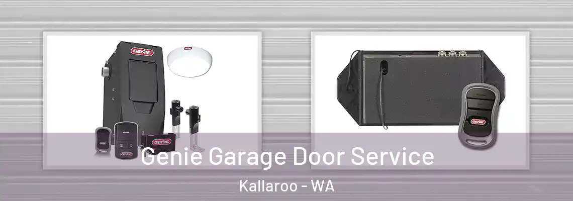  Genie Garage Door Service Kallaroo - WA
