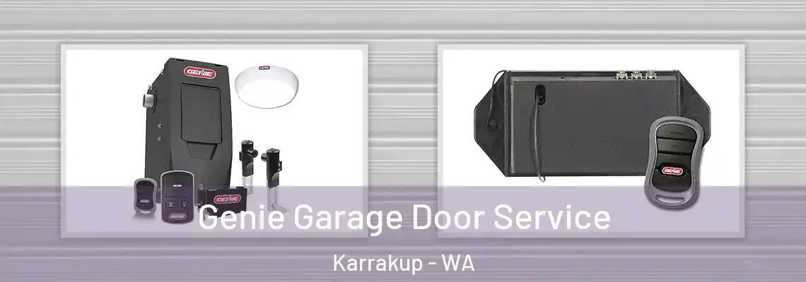 Genie Garage Door Service Karrakup - WA