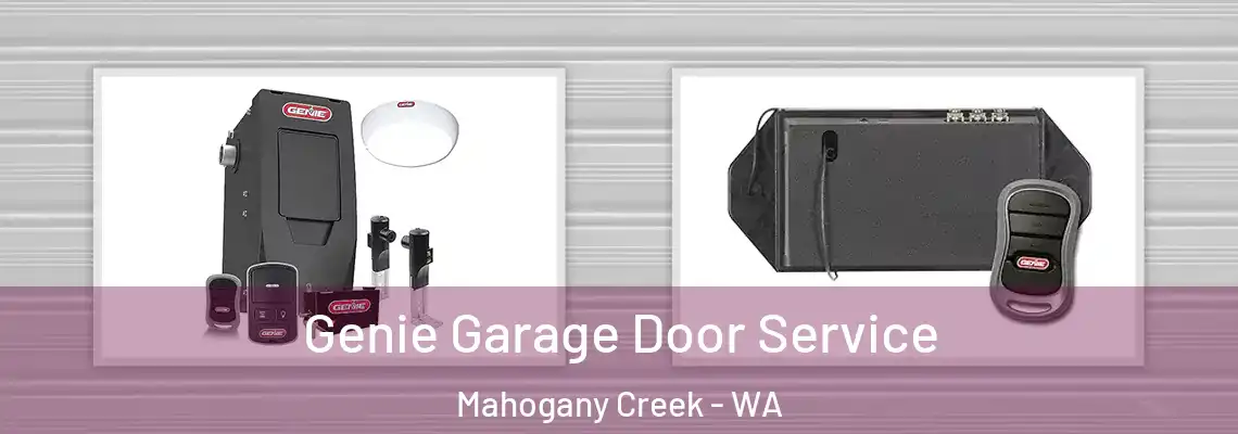  Genie Garage Door Service Mahogany Creek - WA