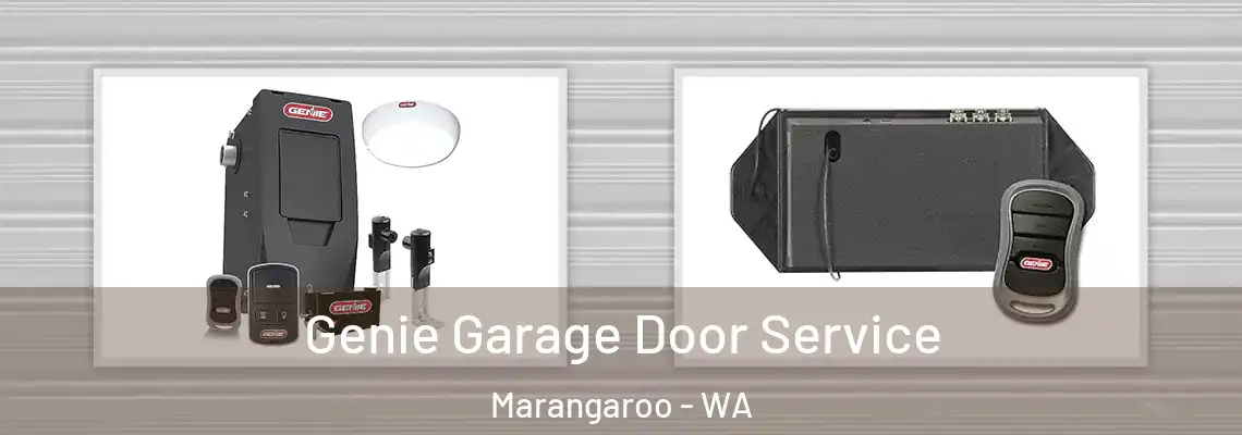  Genie Garage Door Service Marangaroo - WA