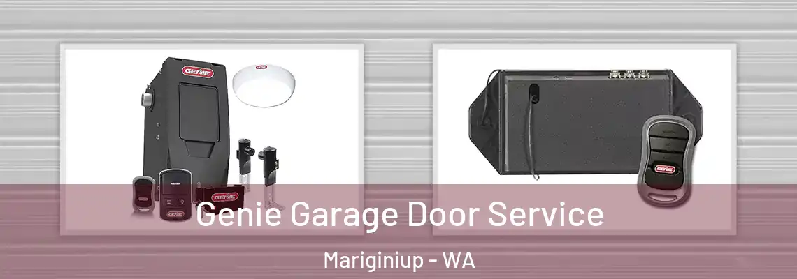 Genie Garage Door Service Mariginiup - WA