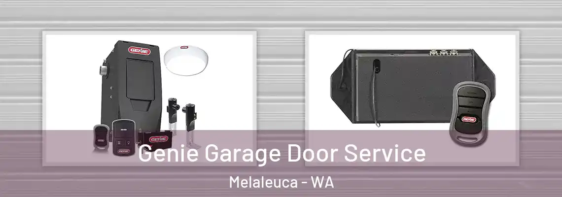 Genie Garage Door Service Melaleuca - WA