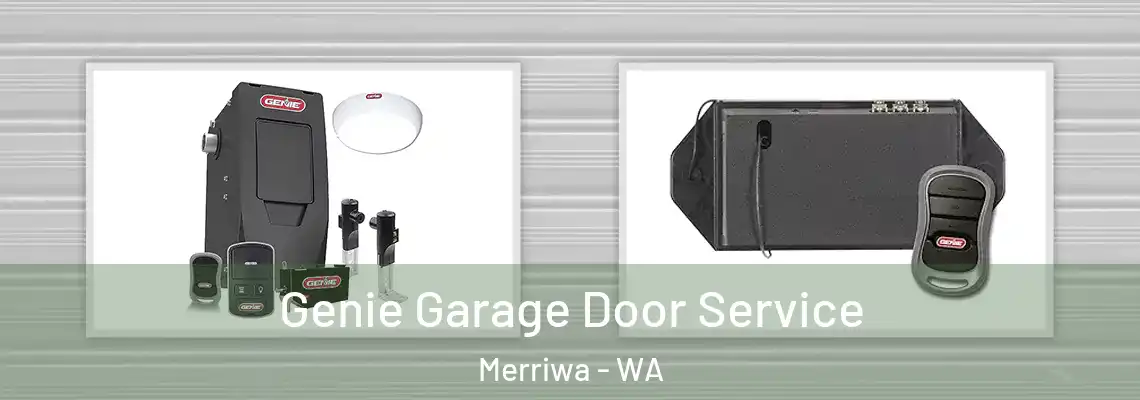  Genie Garage Door Service Merriwa - WA