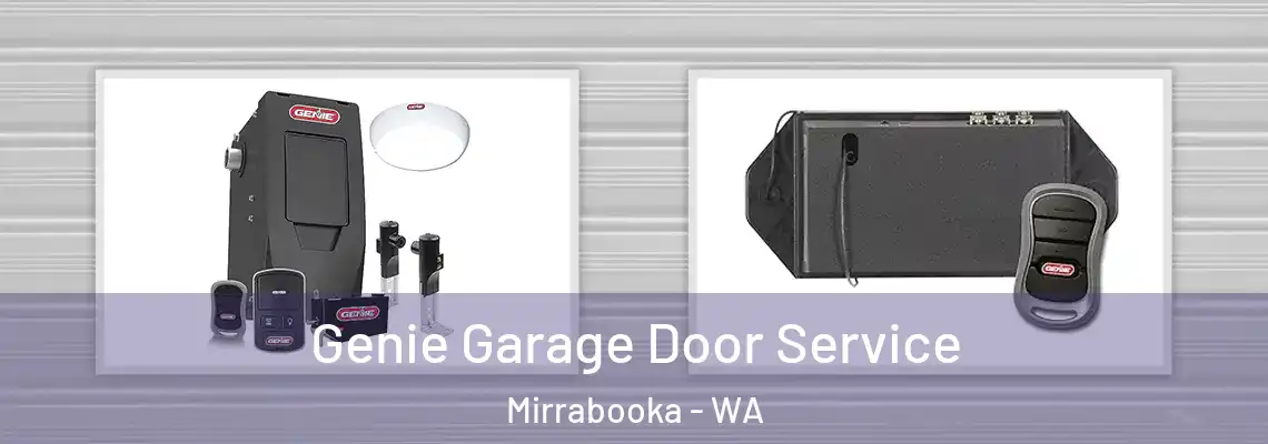 Genie Garage Door Service Mirrabooka - WA
