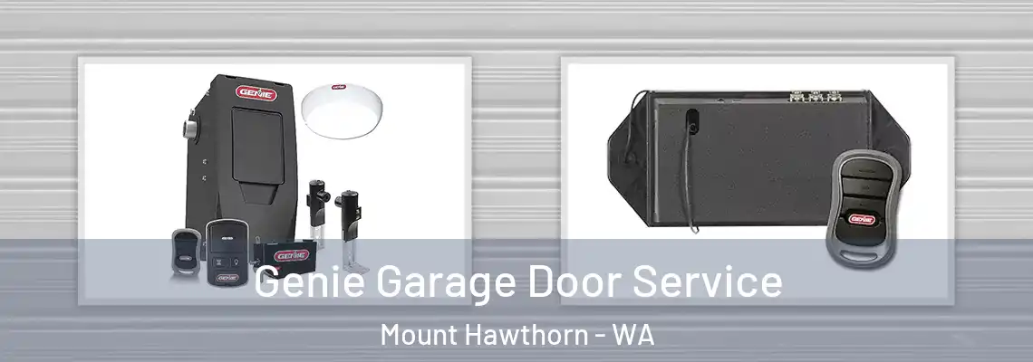 Genie Garage Door Service Mount Hawthorn - WA