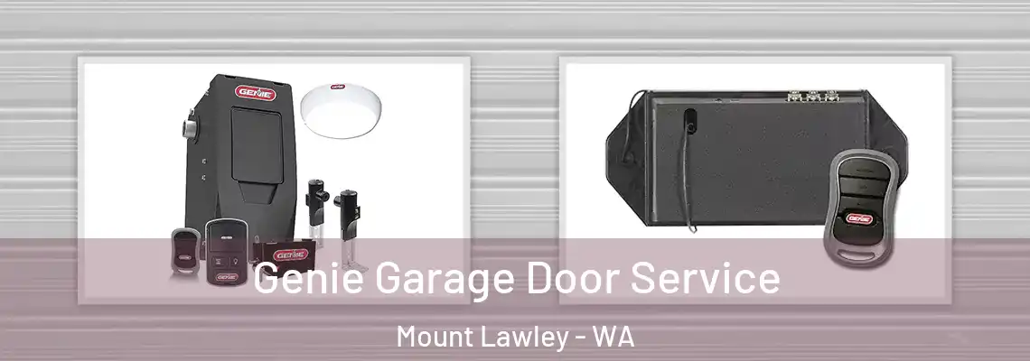 Genie Garage Door Service Mount Lawley - WA