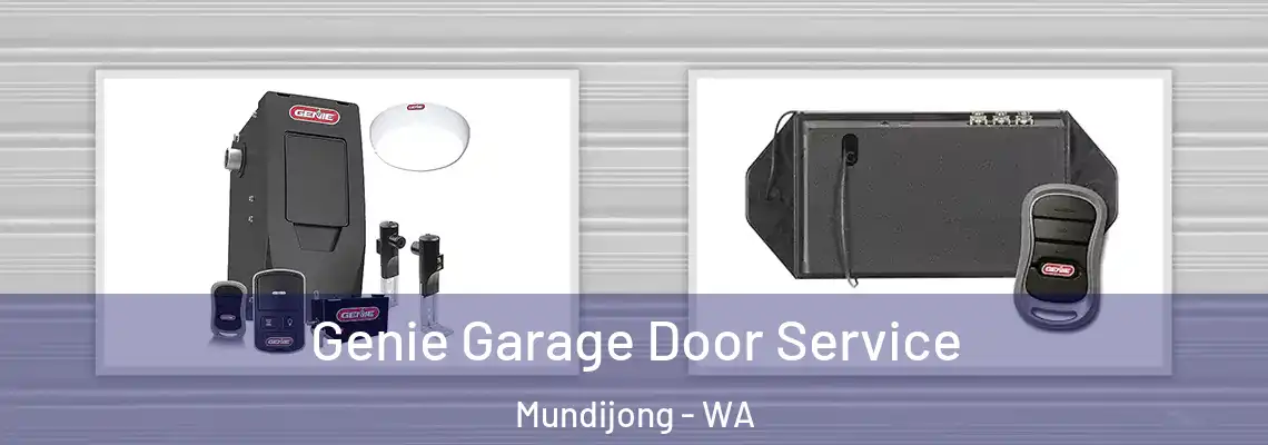 Genie Garage Door Service Mundijong - WA