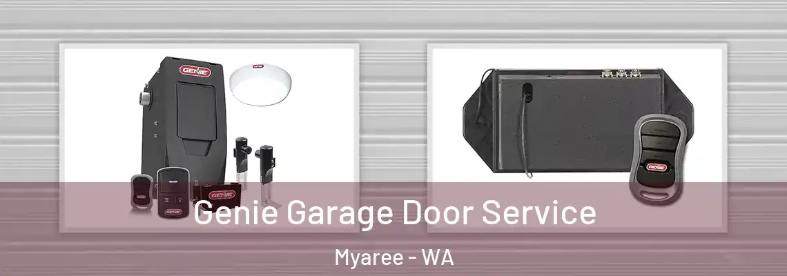 Genie Garage Door Service Myaree - WA
