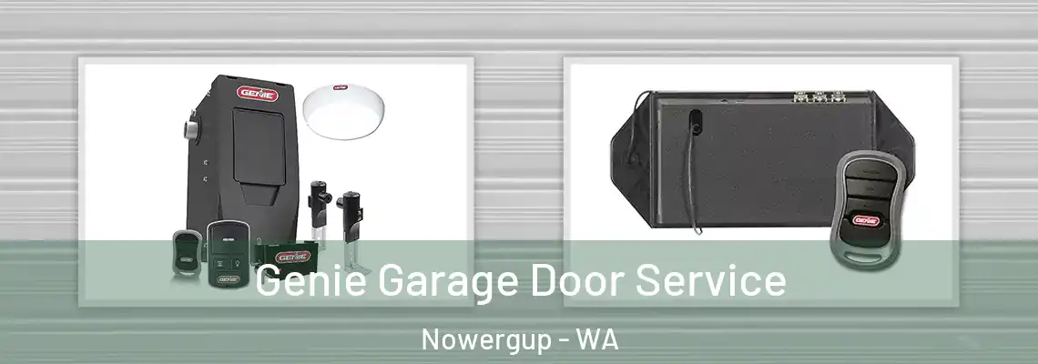 Genie Garage Door Service Nowergup - WA