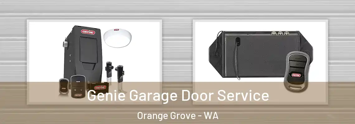  Genie Garage Door Service Orange Grove - WA
