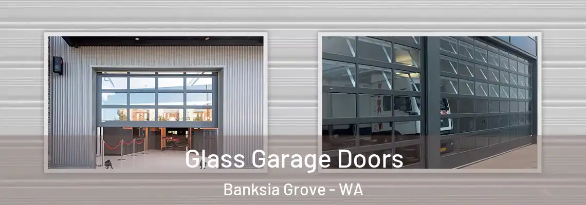 Glass Garage Doors Banksia Grove - WA