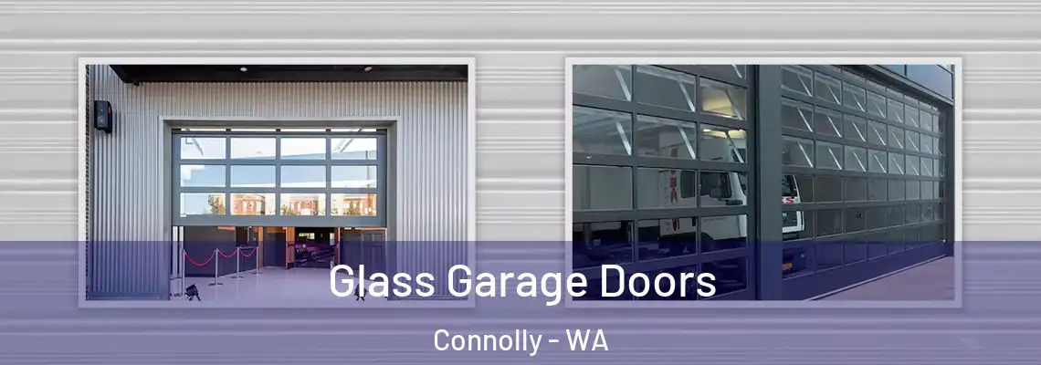 Glass Garage Doors Connolly - WA