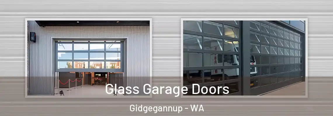 Glass Garage Doors Gidgegannup - WA