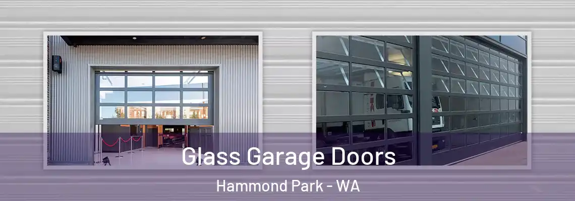 Glass Garage Doors Hammond Park - WA