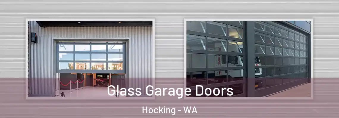 Glass Garage Doors Hocking - WA