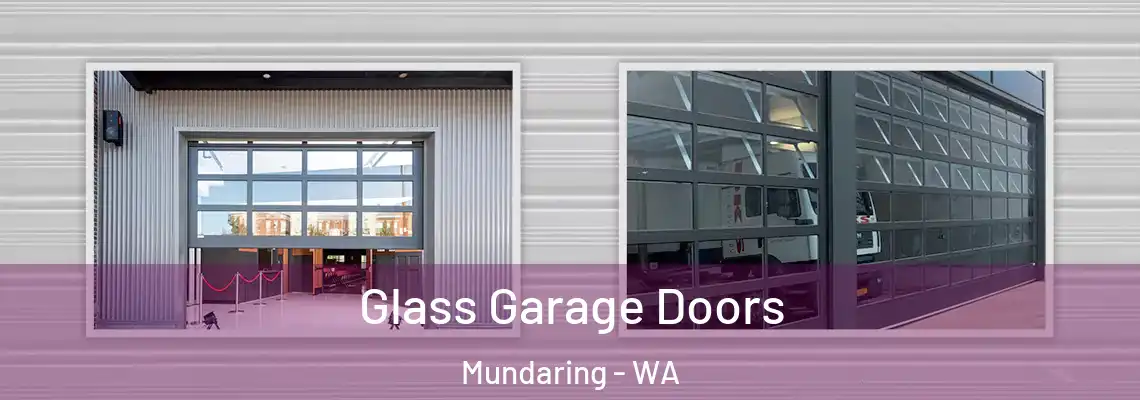  Glass Garage Doors Mundaring - WA