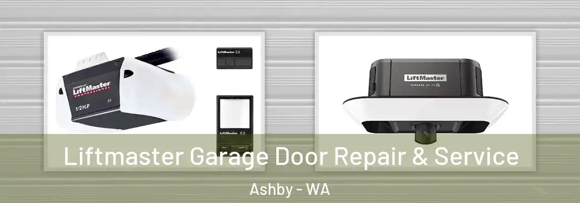 Liftmaster Garage Door Repair & Service Ashby - WA