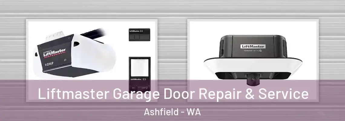 Liftmaster Garage Door Repair & Service Ashfield - WA