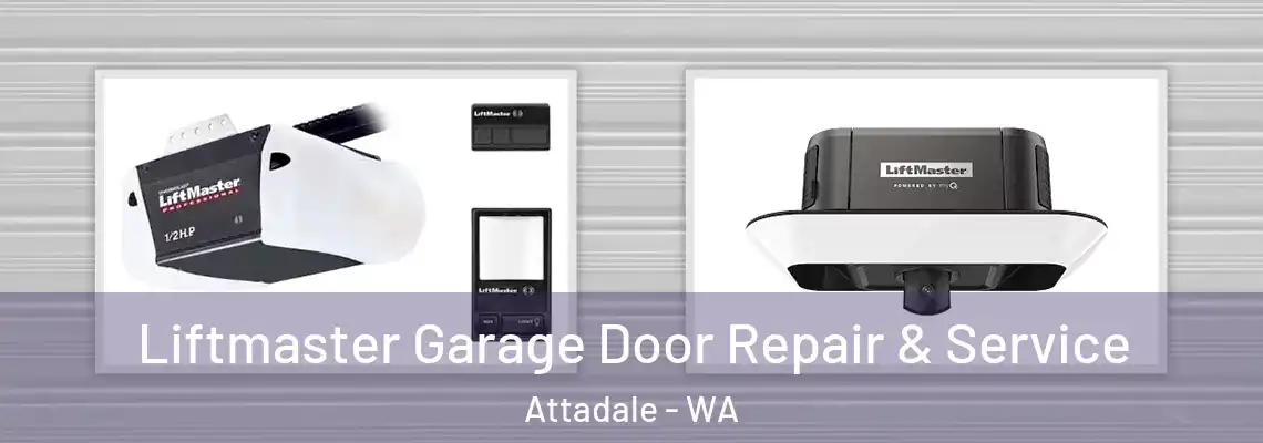 Liftmaster Garage Door Repair & Service Attadale - WA
