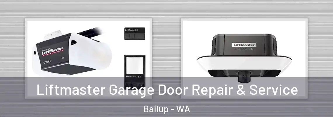 Liftmaster Garage Door Repair & Service Bailup - WA