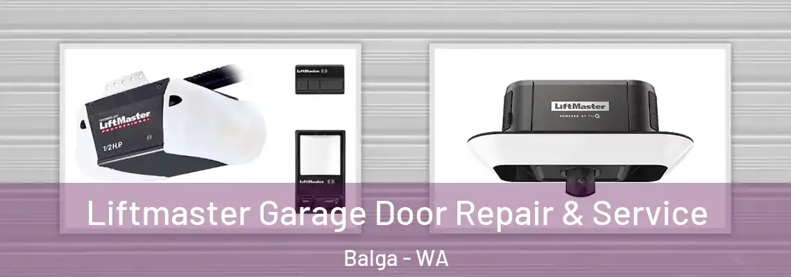Liftmaster Garage Door Repair & Service Balga - WA