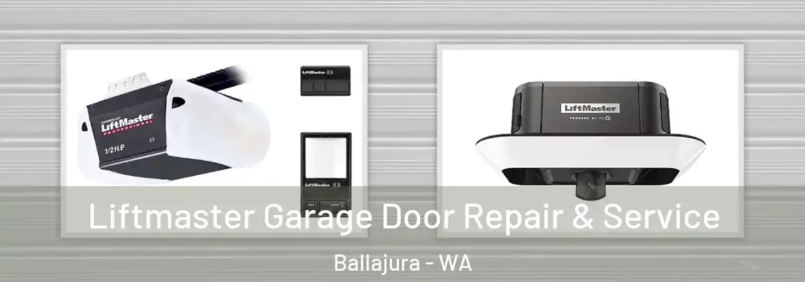 Liftmaster Garage Door Repair & Service Ballajura - WA