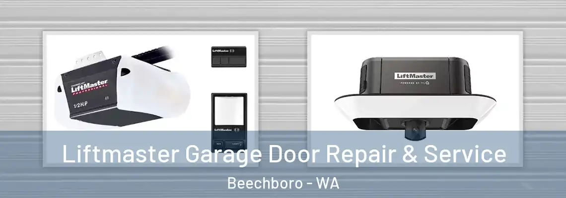 Liftmaster Garage Door Repair & Service Beechboro - WA