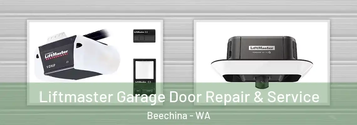 Liftmaster Garage Door Repair & Service Beechina - WA