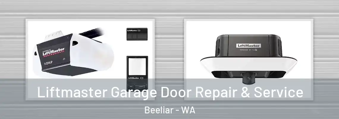 Liftmaster Garage Door Repair & Service Beeliar - WA