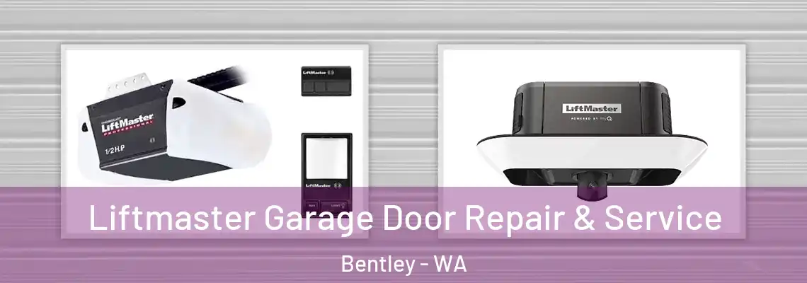 Liftmaster Garage Door Repair & Service Bentley - WA