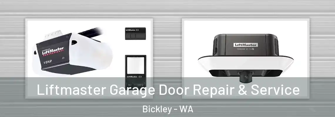 Liftmaster Garage Door Repair & Service Bickley - WA