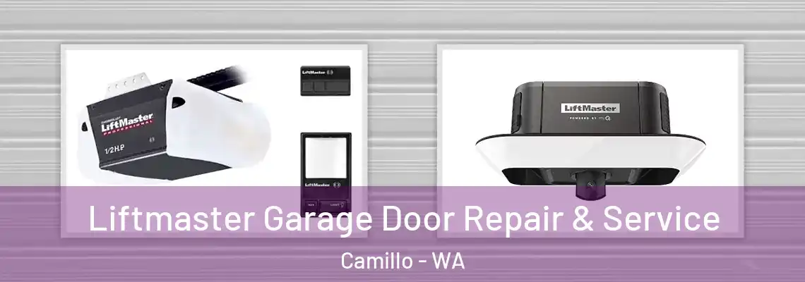Liftmaster Garage Door Repair & Service Camillo - WA